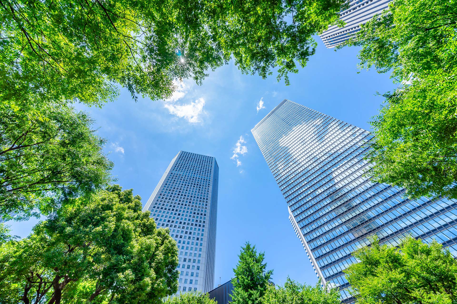 How to book a Commerical EPC