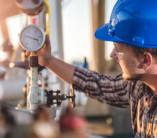 What does a Gas Saftey Certificate survey involve?