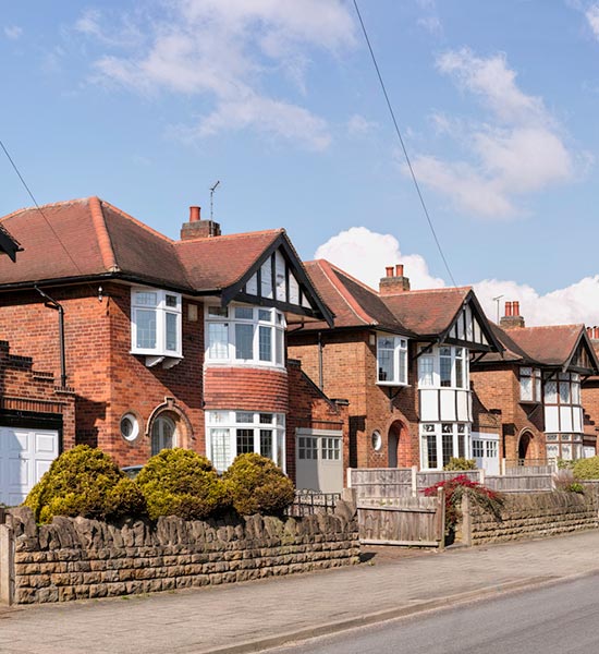 What does a Domestic EPC survey involve?